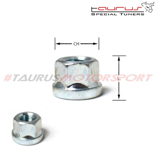 Dado piatto M12x1,50 chiave 19 L.17mm per Peugeot / Citroen M12 1,50 12x1,50 1,5 12x1,5 dadi piatti