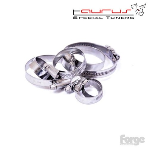 Set di fascette in acciaio inox per FMKTMK7 per Volkswagen Golf mk7 1.8 Tfsi  - Forge Motorsport FMKTMK7HC