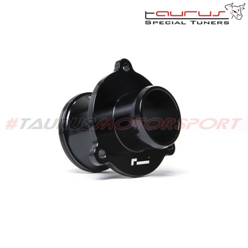 Volkswagen Racing VWR VW Racing Racingline Performance Audi Volkswagen Seat Skoda Elimina risuonatore uscita turbina (turbo muff