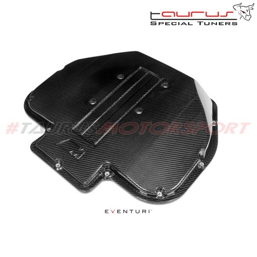 Coperchio Plenum in carbonio lucido Eventuri BMW Serie 5 E39 M5 & Z8  S62 - EVE-S62-CF-PLM filtro sportivo COVER motore engine a