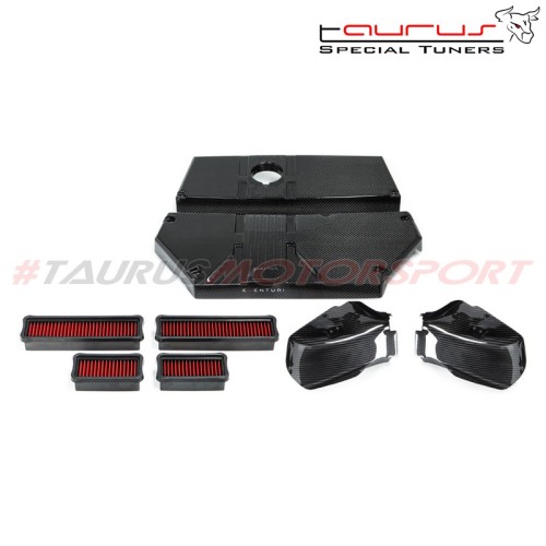 Kit aspirazione diretta in carbonio Eventuri BMW Serie X F97 X3M / F98 X4M - LCI e  Pre-LCI  - EVE-FX34M-V2-INT filtro sportivo