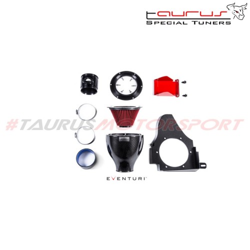 Kit aspirazione diretta in carbonio Eventuri BMW Serie Z Z4M - EVE-Z4M-INT filtro sportivo