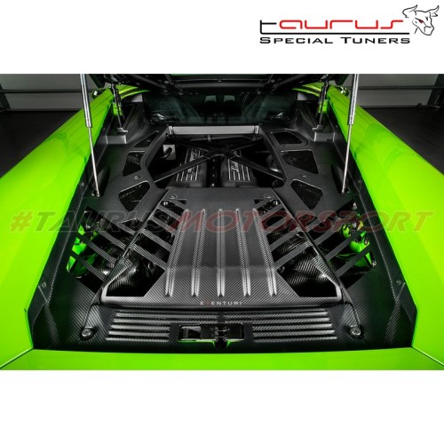 Coprimotore in carbonio lucido Eventuri Lamborghini Huracan - EVE-HCN-CF-ENG copertura copri motore engine cover