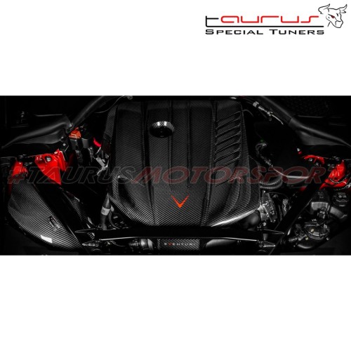 Coprimotore in carbonio Eventuri Toyota Supra mk5 A90 3.0 B58 - EVE-A90-CF-ENG copertura copri motore engine cover