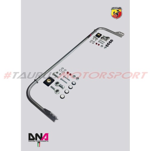 Kit barra antirollio posteriore per Fiat Panda (169) (2003 - 2013) - DNA Racing PC0137