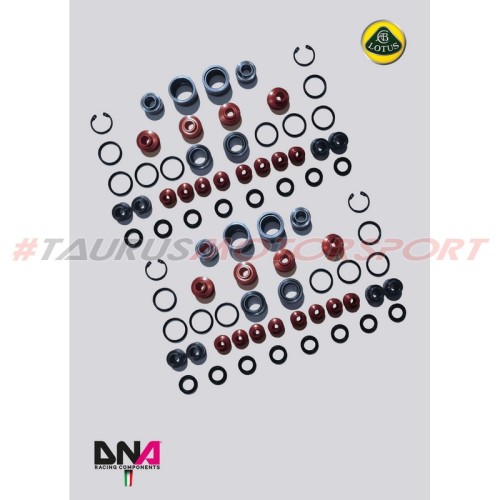 Kit uniball trapezi standard per Lotus V6 (2012 - 2015) - DNA Racing PC0812