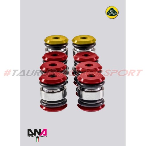 Kit uniball trapezi standard (parziale) per Lotus Elise L4 Toyota (2004 -) - DNA Racing PC0851