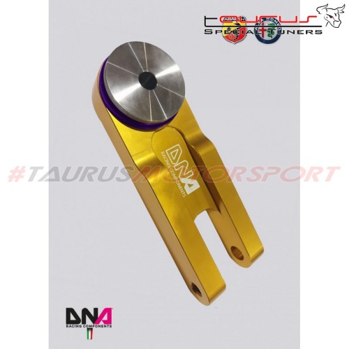 Kit supporto motore lato cambio Fast Road DNA Racing per Fiat Grande Punto - Abarth incl. (2005 - 2012) - DNA Racing PC1934