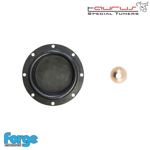 Kit di revisione per wastegate di tipo T2 (049 piccola) a membrana - Forge Motorsport FMAC048SK