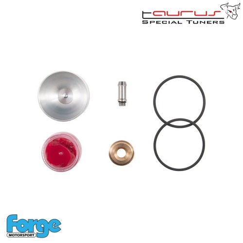 Kit di revisione per wastegate a pistone - Forge Motorsport FMPACSK