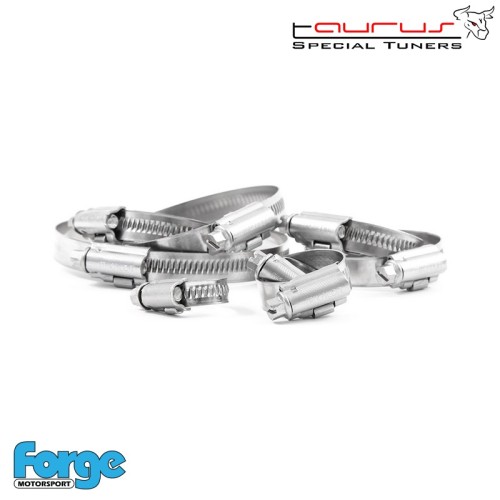 Set di fascette in acciaio inox per FMBH18T per Audi A3 8L 1.8T  - Forge Motorsport FMBH18THC