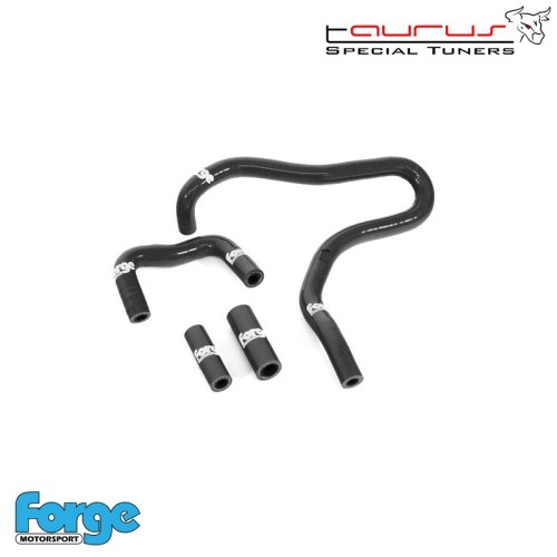 Kit manicotti in silicone per vaschetta recupero vapori olio per Audi S3 8P 2.0 Tfsi  - Forge Motorsport FMCCHMK5