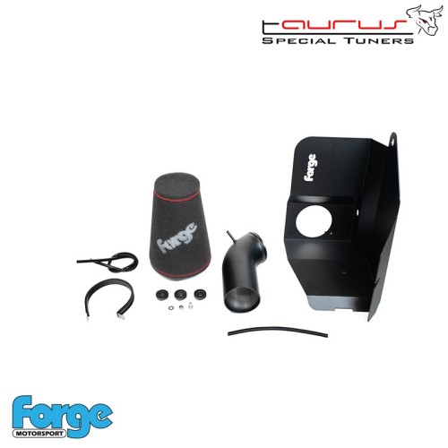 Kit filtro aspirazione diretta per Audi S3 8V 2.0 Tfsi  - Forge Motorsport FMINDK44