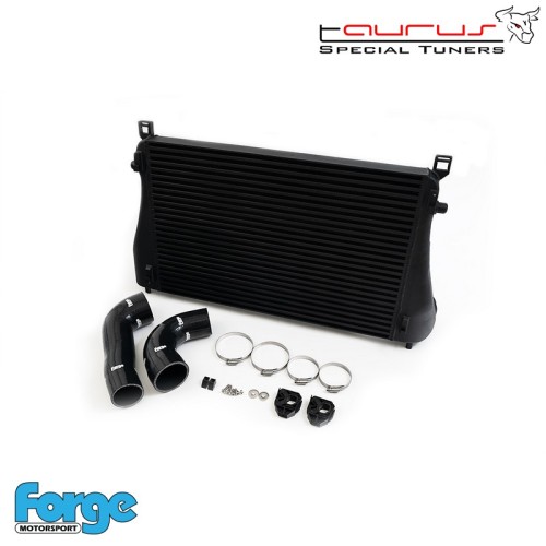 Kit intercooler maggiorato "Race" per Audi TT mk3 8S  TTS 2.0 Tsi 2014-2021  - Forge Motorsport FMINT32