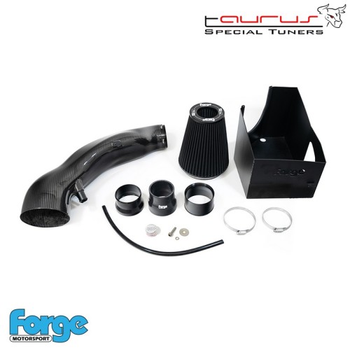 Kit filtro aspirazione diretta in carbonio per Audi TT mk3 8S TT-RS 2.5  - Forge Motorsport FMINDK47