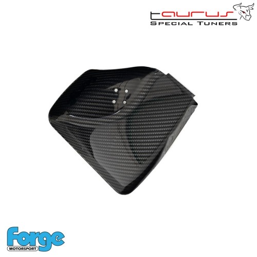 Convogliatore dell'aria (Inlet Duct) in carbonio per BMW Serie 2 220i/225i/228i N20  - Forge Motorsport FMINLD2