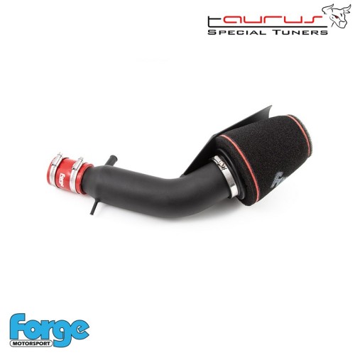 Kit filtro aspirazione diretta per Fiat Punto EVO e Punto MY2012 1.4 Turbo Multiair + Abarth  - Forge Motorsport FMINDFPA