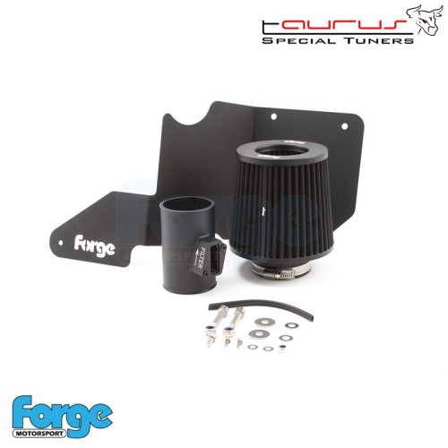 Kit filtro aspirazione diretta per Ford Fiesta MK7 ST180 e ST200  - Forge Motorsport FMINDST180