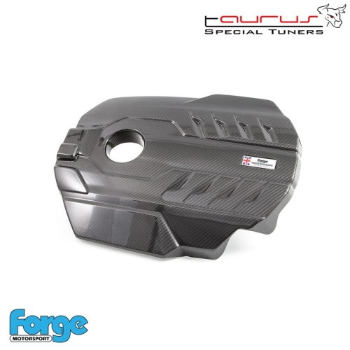 Cover motore coprimotore in vero carbonio per Hyundai i30N Restyling  - Forge Motorsport FMEC1