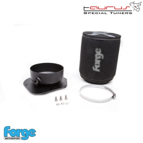 Kit filtro aspirazione diretta per Mercedes A45 AMG  - Forge Motorsport FMINDK20