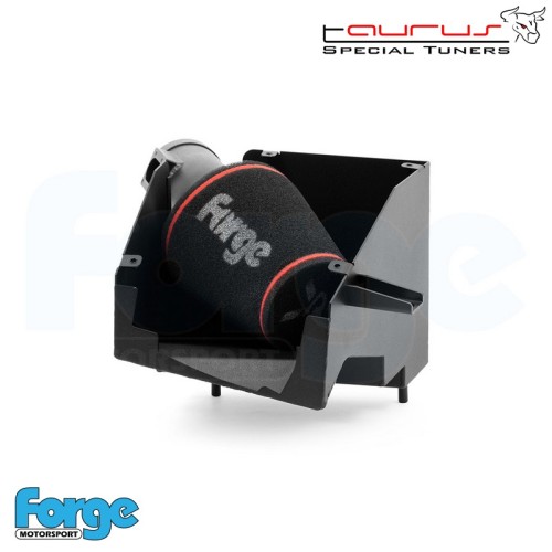 Kit filtro aspirazione diretta per Mini F56/F55 Cooper S 2.0 (B48)  - Forge Motorsport FMINDF56