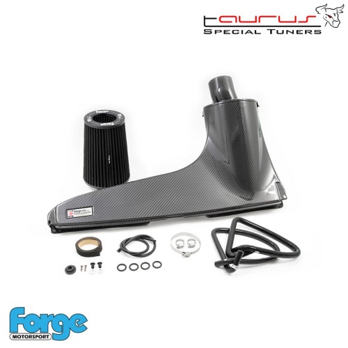 Kit filtro aspirazione diretta in carbonio per Audi A3 8V 1.8/2.0 TSI dal 2015  - Forge Motorsport FMINDK40