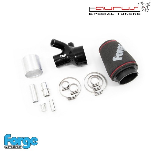 Kit filtro aspirazione diretta per Citroen DS3 1.6 turbo  - Forge Motorsport FMINDDS3