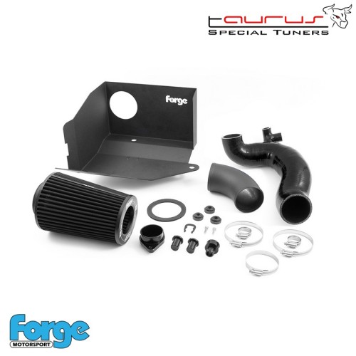 Kit filtro aspirazione diretta per Cupra Formentor 1.5 TSI  - Forge Motorsport FMINDK35