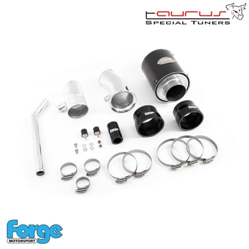 Kit filtro aspirazione diretta per Fiat 500 Abarth 1.4 TJet  - Forge Motorsport FMINDF500