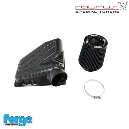 Airbox aspirazione superiore in carbonio con filtro sportivo in cotone per BMW Serie 1 F20/F21/F40 120i dal 2016 (B48)  - Forge 