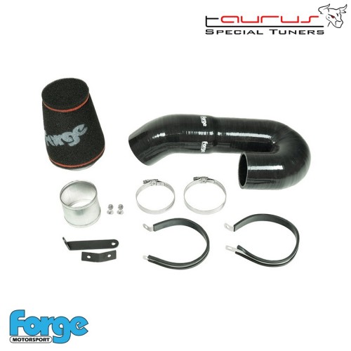 Kit filtro aspirazione diretta per Citroen Berlingo 1.2T dal 2018  - Forge Motorsport FMINDK54