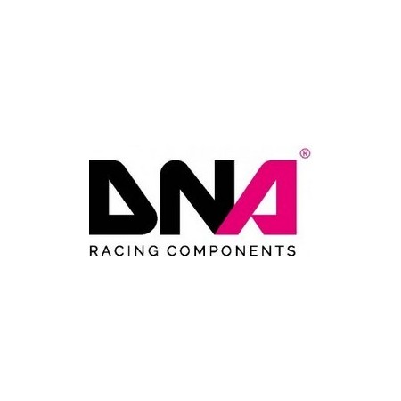 DNA RACING